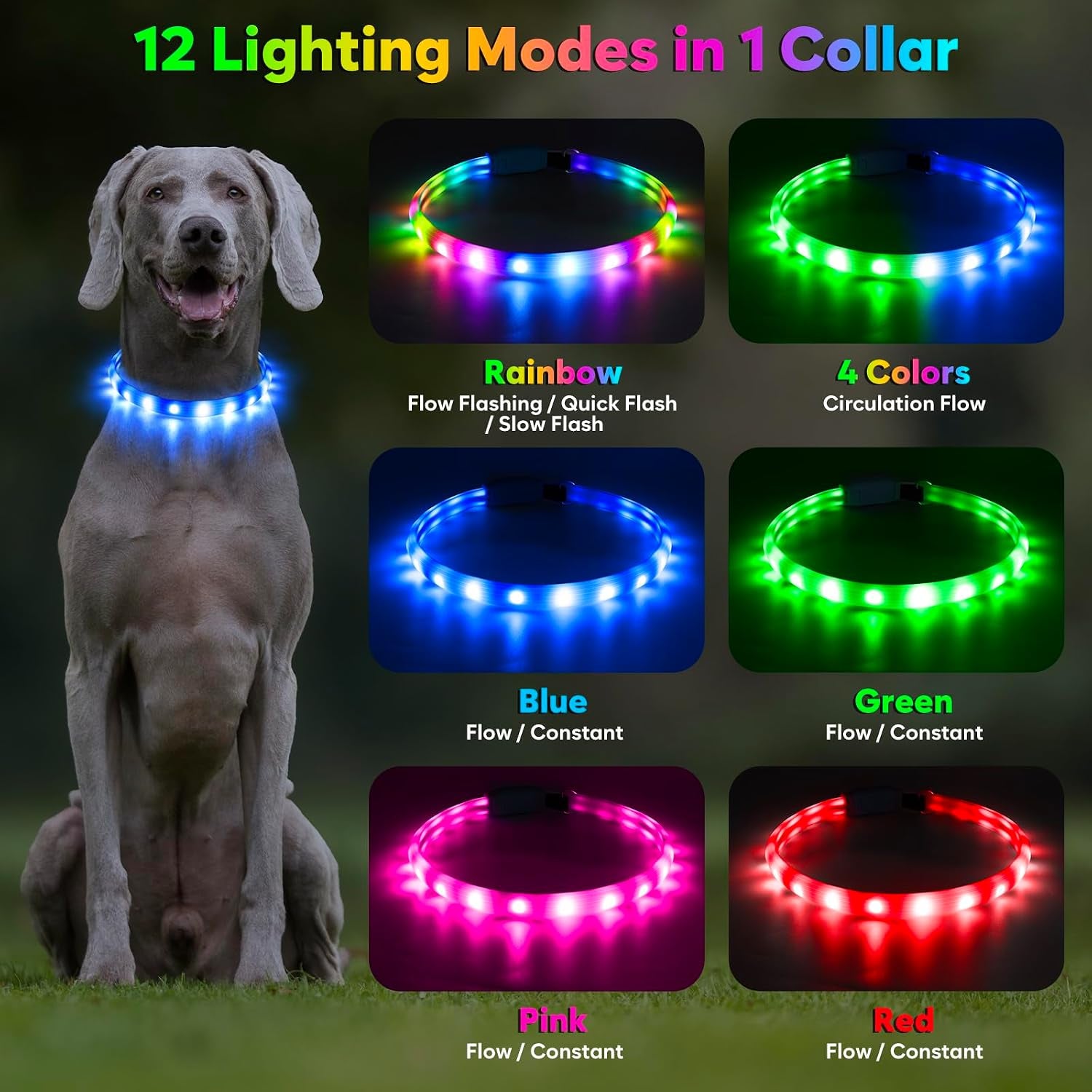 LED Rechargeable Dog Collar