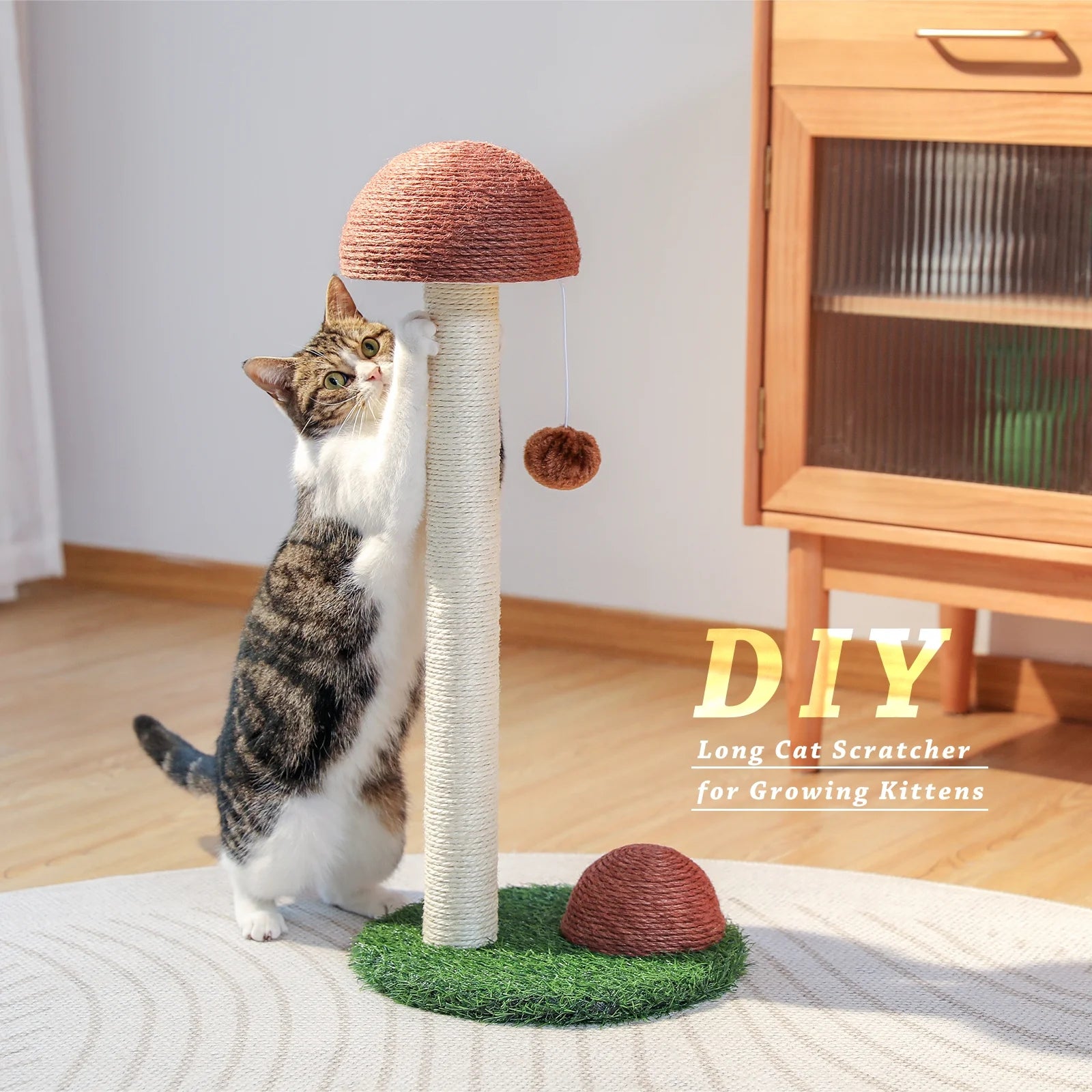 Mushroom Cat Scratching Post 19In